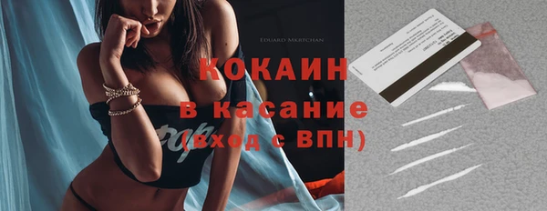 мдпв Инта