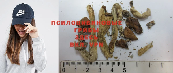 стаф Пролетарск