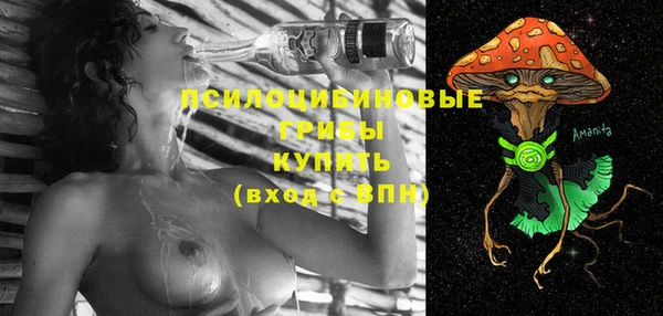 apvp Зерноград