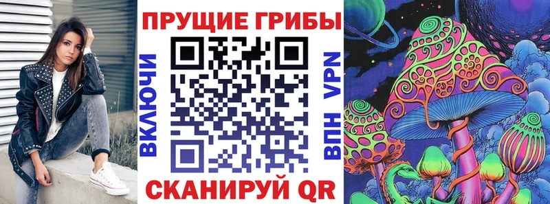 Купить где  Дюртюли  Галлюциногенные грибы Psilocybine cubensis 